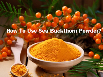 How To Use Sea Buckthorn Powder?